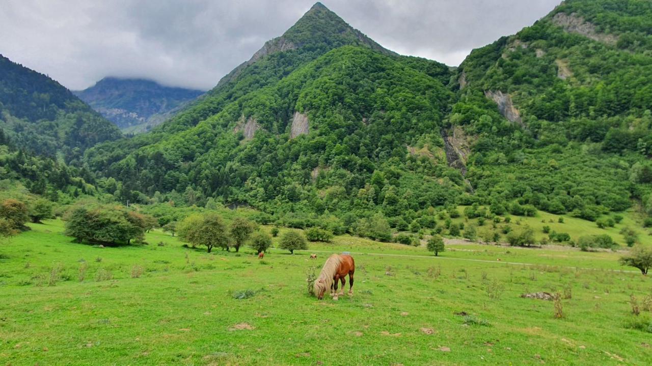 Appartement A La Montagne Avec Vue Imprenable Gouaux-de-Larboust Bagian luar foto